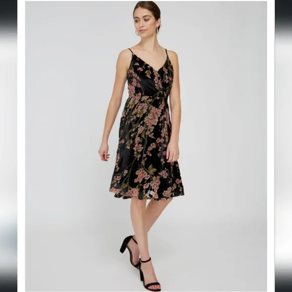 NWT Dex XS Velvet Burnout Dress, wrap style, midi length, with floral design - Picture 4 of 14